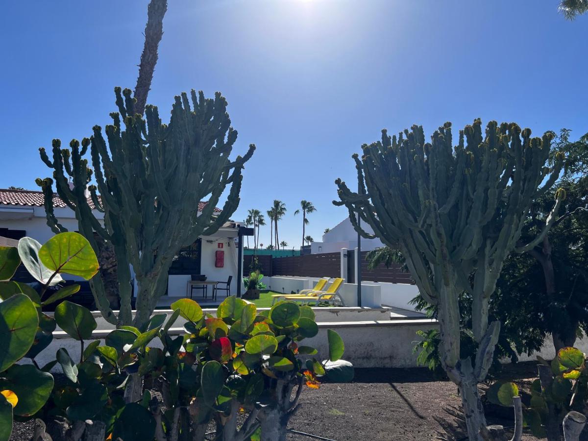 Escarabajo Bungalow Il Maggiolino Maspalomas  Buitenkant foto